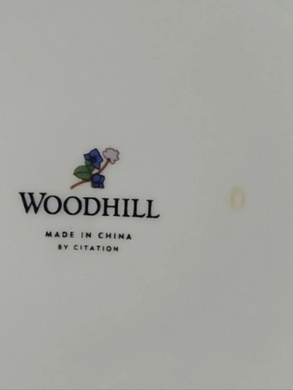 Vtg Dinner Plate Woodhill by Citation